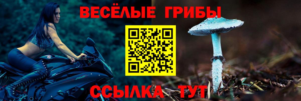 Мытищи  Псилоцибиновые грибы мухоморы  Вход с VPN 